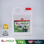 BONDALL BEATMOLD - Larutan Pembasmi Jamur dan Lumut Pelindung Batuan |  1KG
